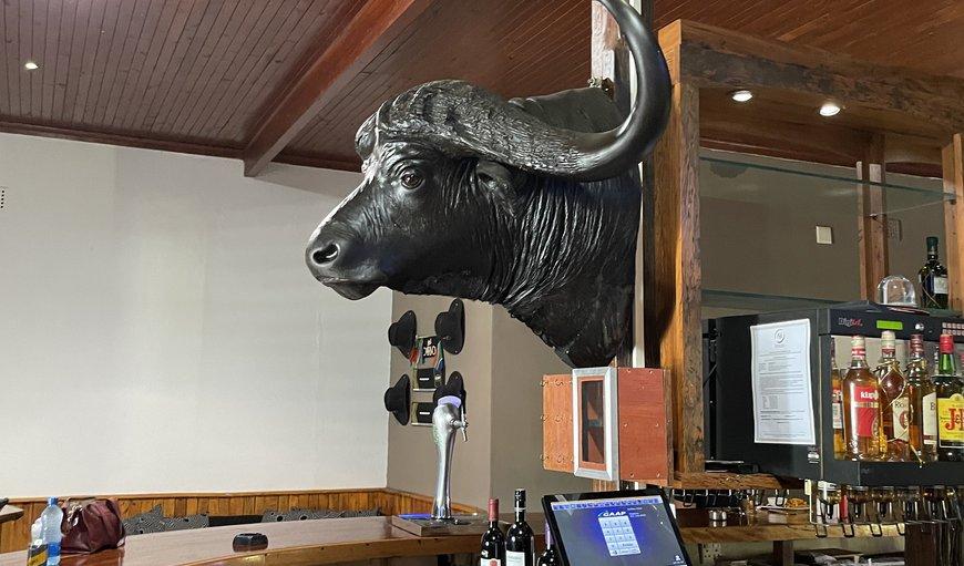 Buffalo Hotel Hectorspruit Exterior photo